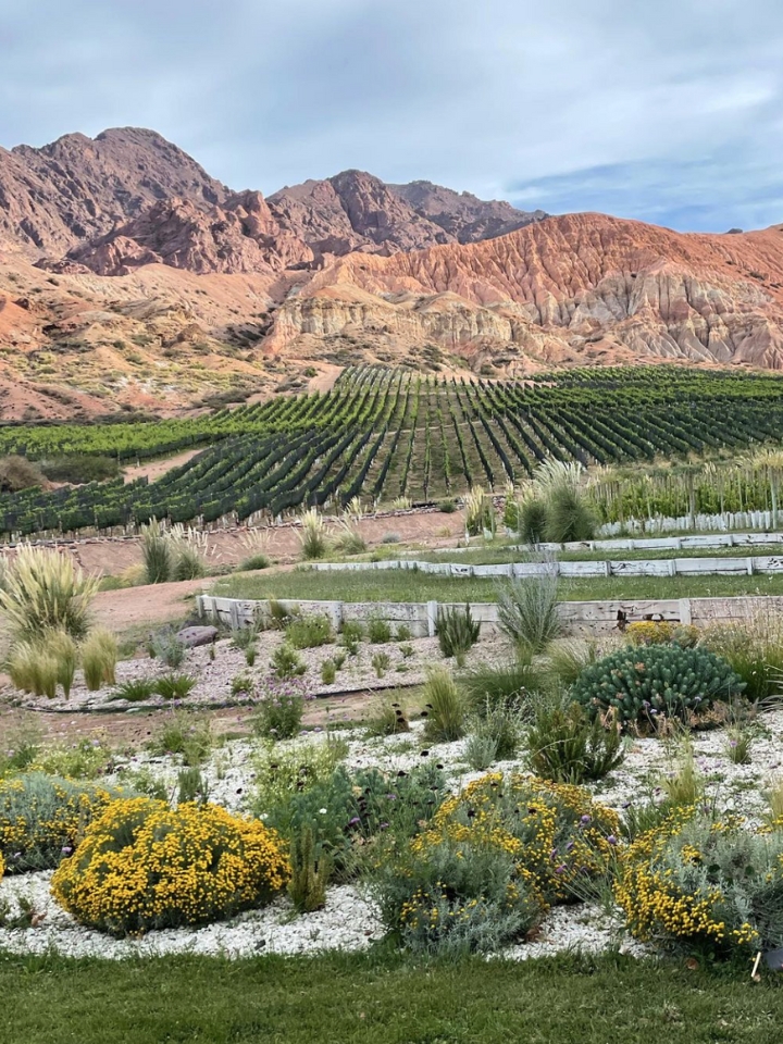 Argentine winery with mountain