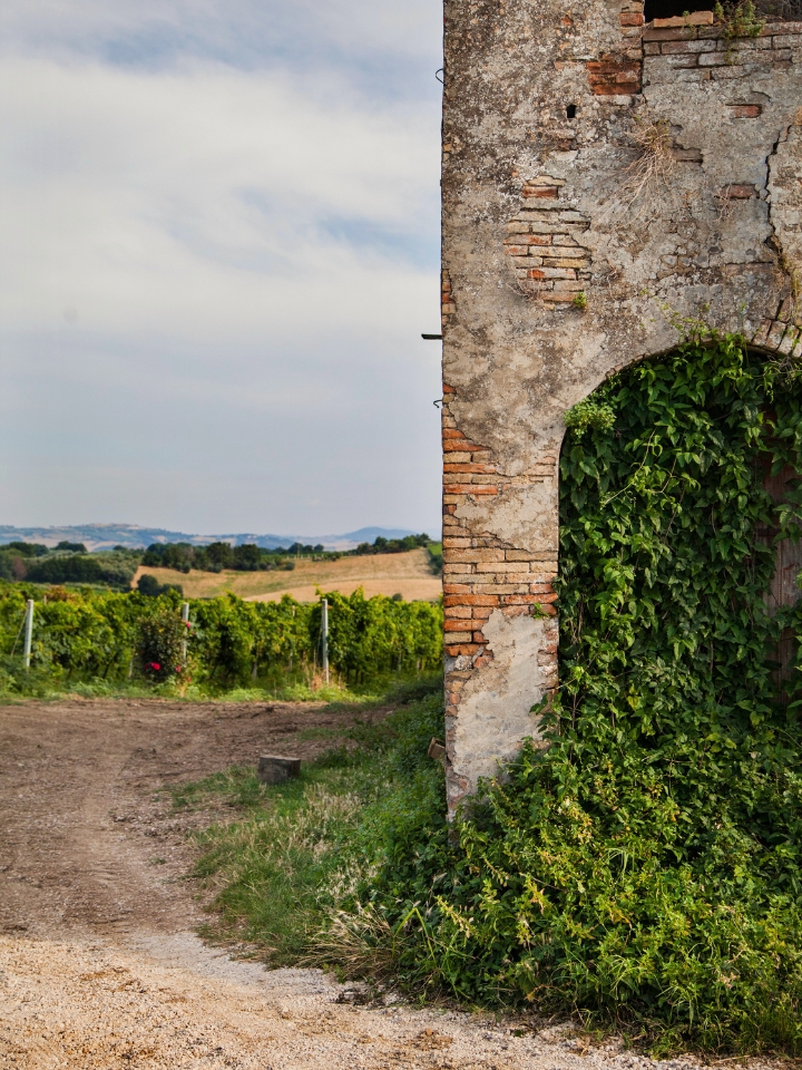 Italian wine country