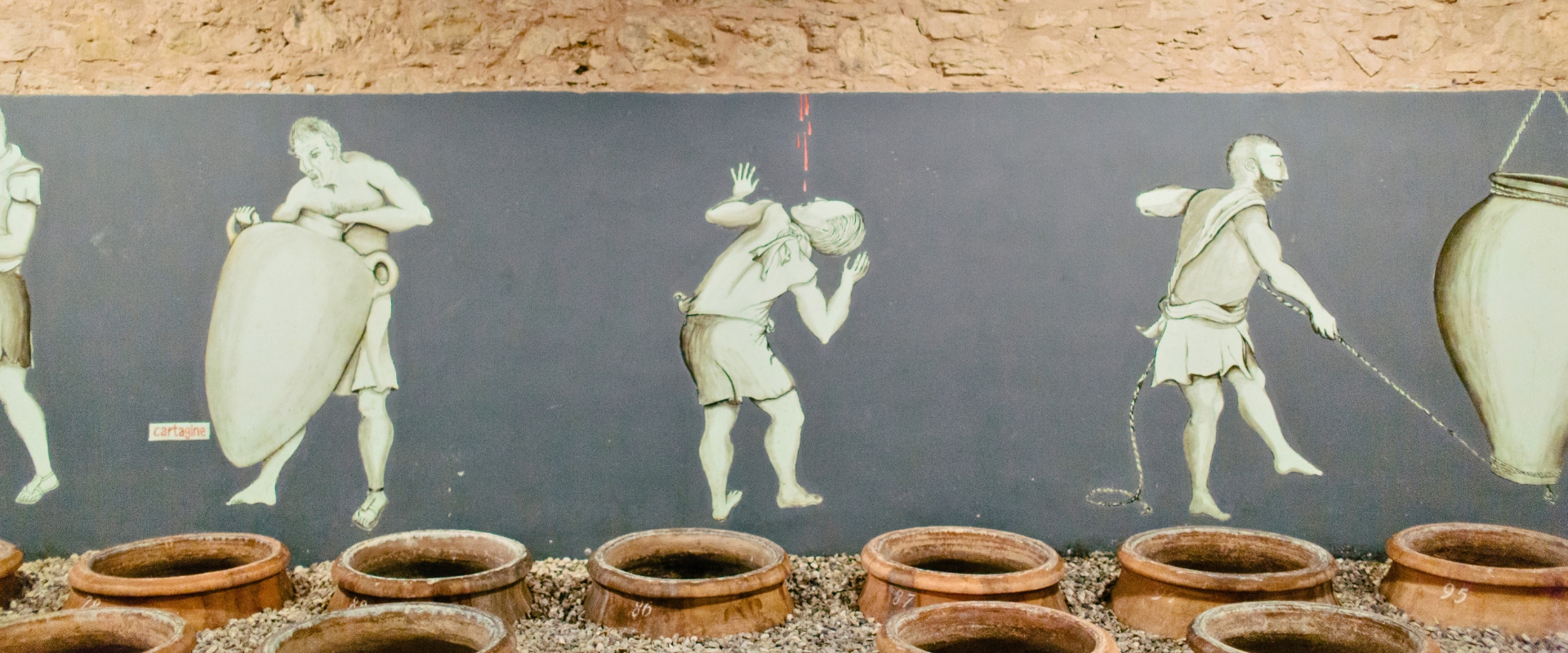 Wine in amphora in Sicily