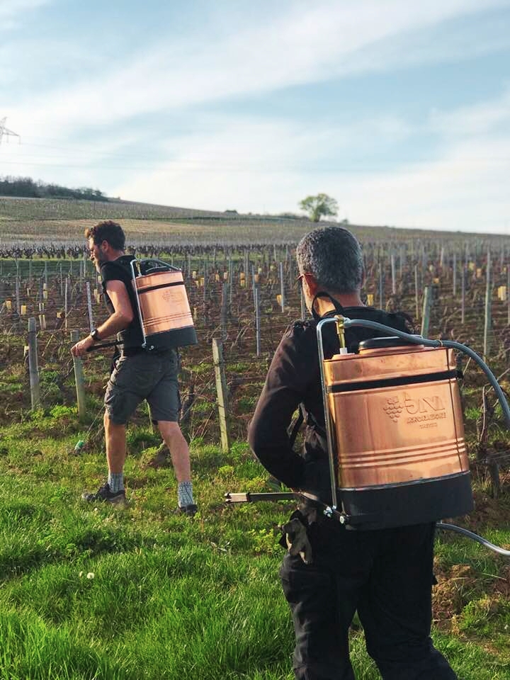 Biodynamic vineyard treatment