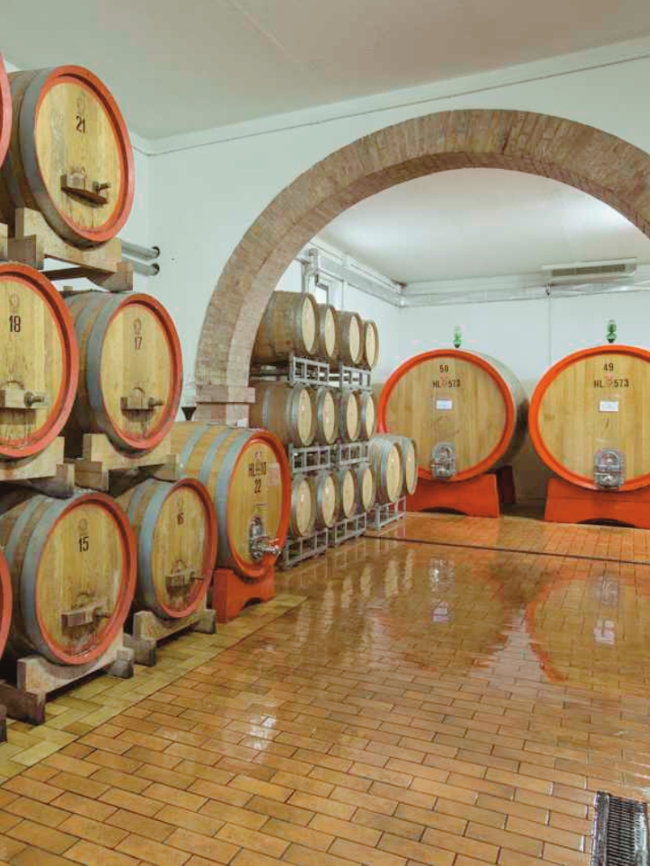Wine barrels at Il Grappolo Brunello Imported by Uva Imports.