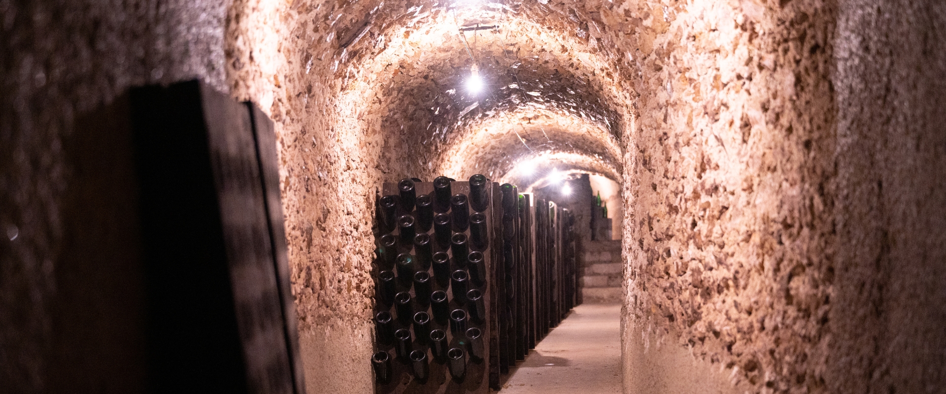 Champagne cellar