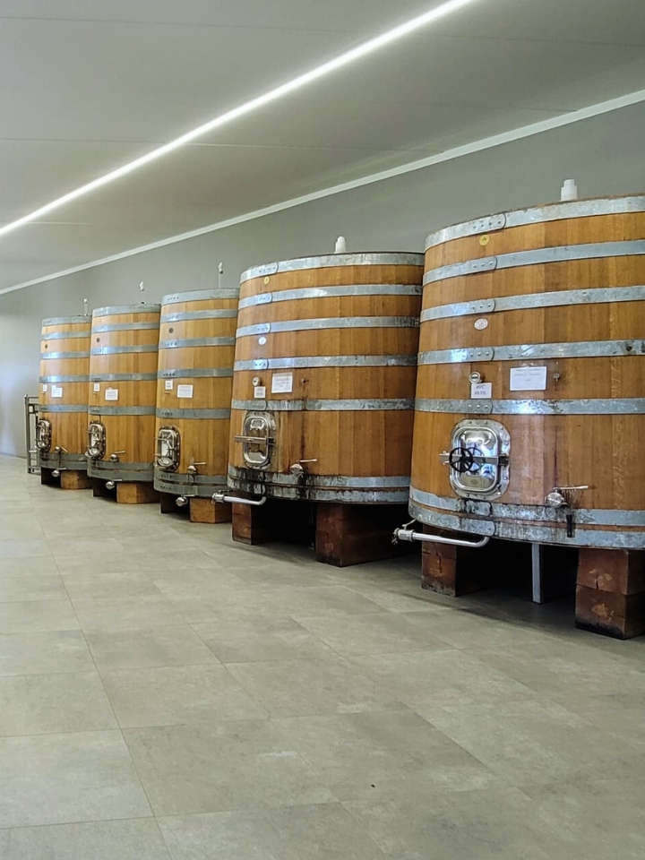 Wine cellar with barrels in Piedmont