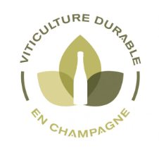 sustainable champagne icon