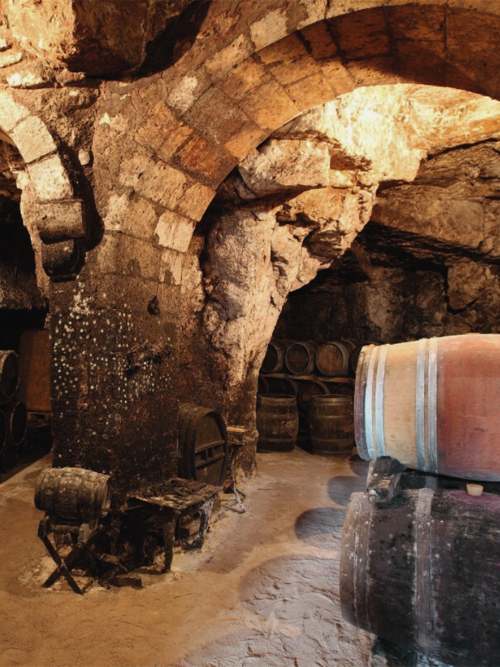 Wine cellar in Chinon