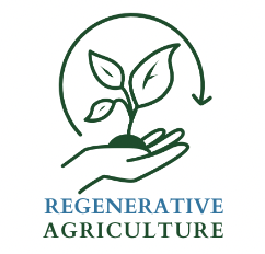 regenerative icon