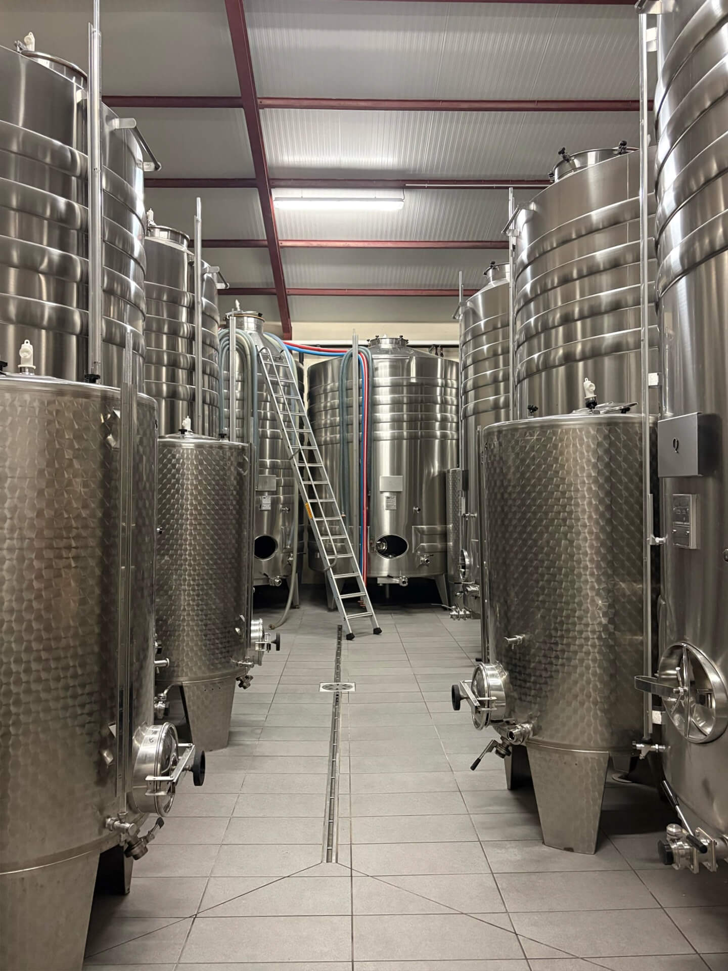 French winemakers imported by Uva Imports 
